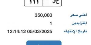 بوابة مرور مصر الإلكترونية تتطرح لوحة مميزة سعرها 350 ألف جنية - شبكة أطلس سبورت