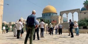 استشهاد مسنة فلسطينية في جنين - شبكة أطلس سبورت