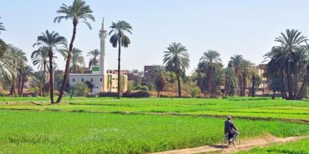 تنمية الريف المصري الجديد.. معلومات عن "مبادرة "مزرعتك في مصر" - شبكة أطلس سبورت