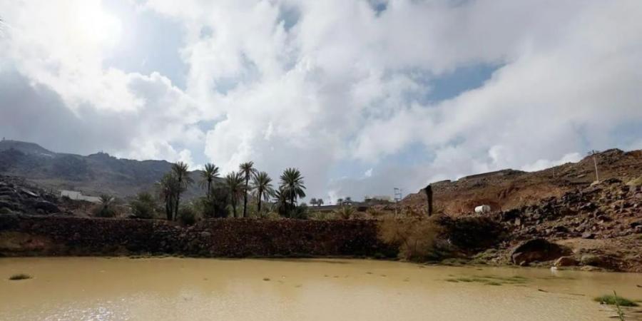 السماء ملبدة بالغيوم.. هطول أمطار غزيرة على المدينة المنورة - شبكة أطلس سبورت