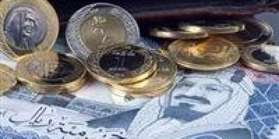 سعر الريال السعودي اليوم في مصر - شبكة أطلس سبورت