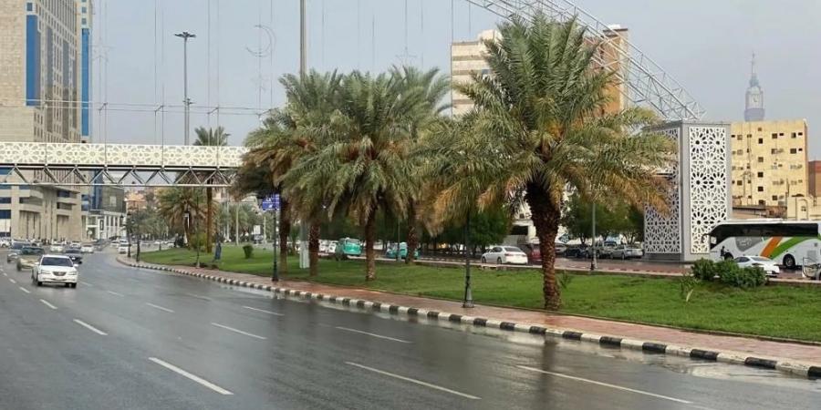 "العديد" بالشرقية الأعلى كمية.. هطول أمطار على 6 مناطق بالمملكة - شبكة أطلس سبورت